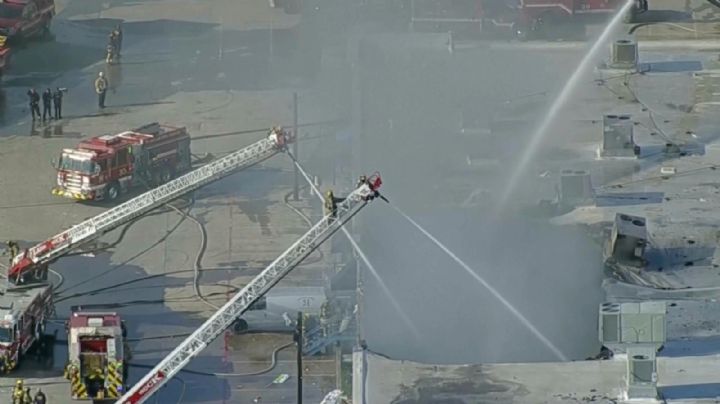 Cientos de animales mueren en incendio de centro comercial en Dallas