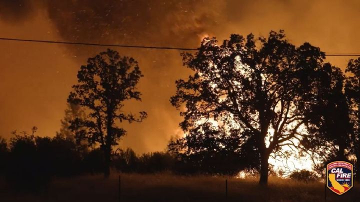 Ascienden a más de 80 mil los evacuados en Los Ángeles por incendios que avanzan sin control