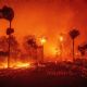 La devastación de los incendios forestales en California (Fotogalería)