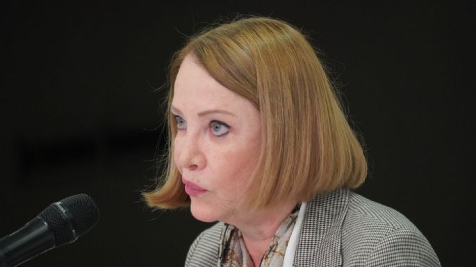 Amparo colectivo se mantiene en reforma a la ley: Laura Itzel Castillo