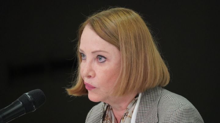 Amparo colectivo se mantiene en reforma a la ley: Laura Itzel Castillo