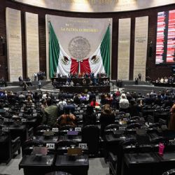 Ley de (des)Amparo y tecnología, qué hacer