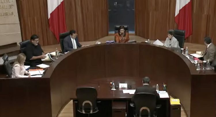 Tribunal Electoral revoca castigo a un analista por violencia política de género