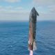 Lanzamiento del Starship 11 evidencia aumento de basura espacial en Playa Bagdad