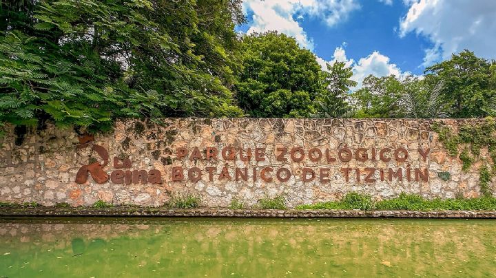 Profepa clausura zoológico La Reina de Tizimín en Yucatán por falta de trato digno a animales