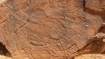 Científicos encuentran grabados rupestres de animales a tamaño natural en desierto de Arabia Saudita