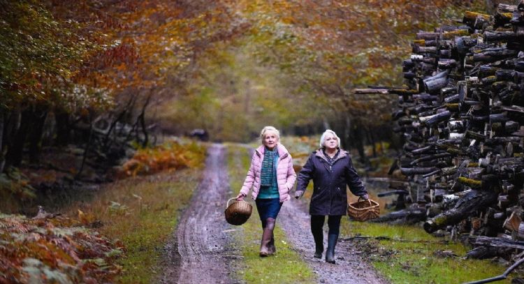 Tour Francés: “Cuando llega el otoño”