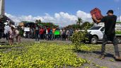 Foto ilustrativa de la nota titulada: Desde 2021 Sedena sabe quiénes extorsionan a los limoneros y sus ligas con el gobierno de Michoacán