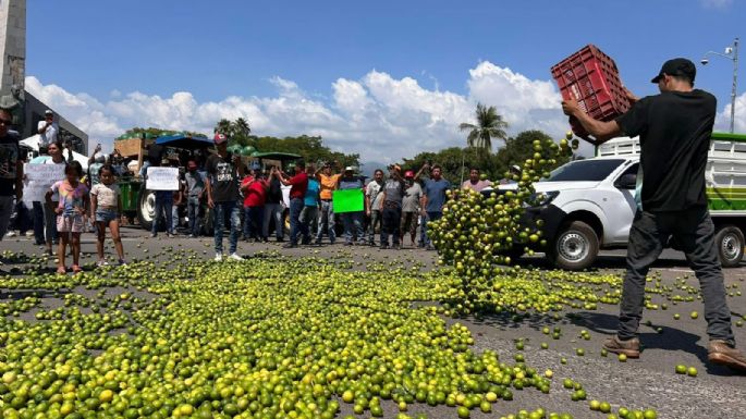 Desde 2021 Sedena sabe quiénes extorsionan a los limoneros y sus ligas con el gobierno de Michoacán