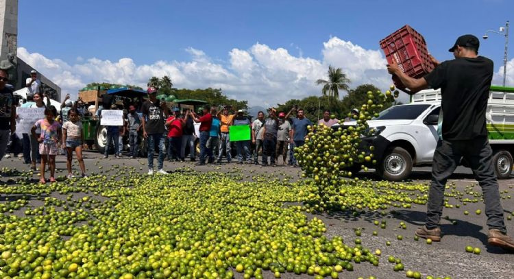 Desde 2021 Sedena sabe quiénes extorsionan a los limoneros y sus ligas con el gobierno de Michoacán
