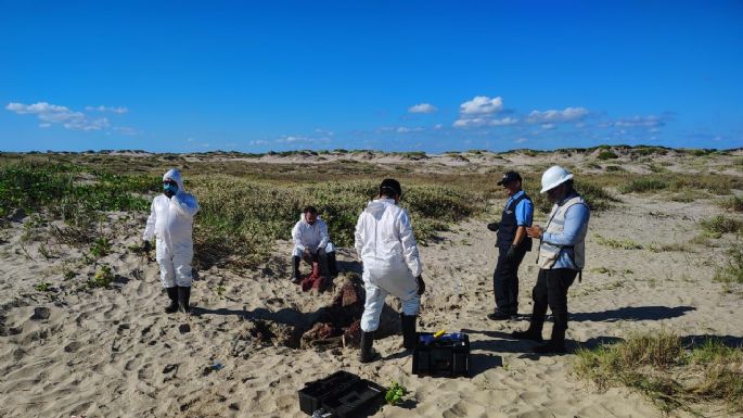 Detienen a integrantes de empresa contratada por SpaceX en Playa Bagdad por falta de permisos