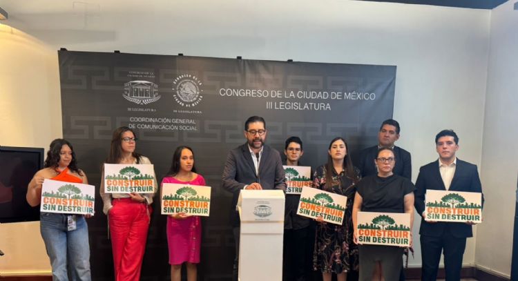 MC presenta iniciativa para que nieguen permisos de construcción cuando implique tala de árboles