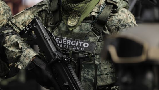 Empresa señalada por simular competencia, entre las favoritas de la Sedena y la Semar