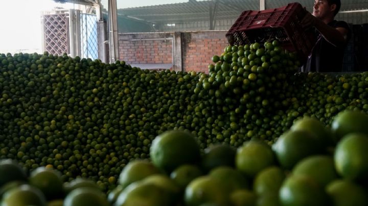 El crimen entronizado en Michoacán... y en el país