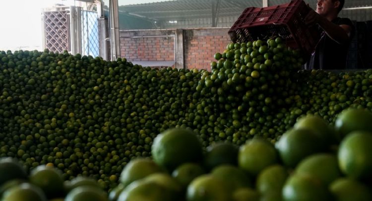 El crimen entronizado en Michoacán... y en el país