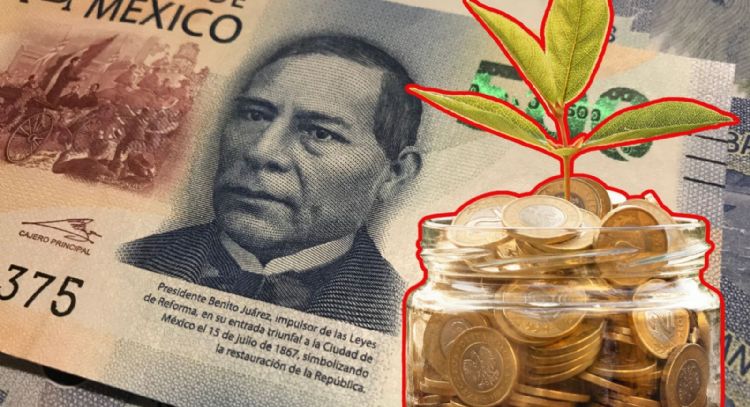 Cómo ahorrar energía en casa según la Profeco para reducir tu recibo de CFE