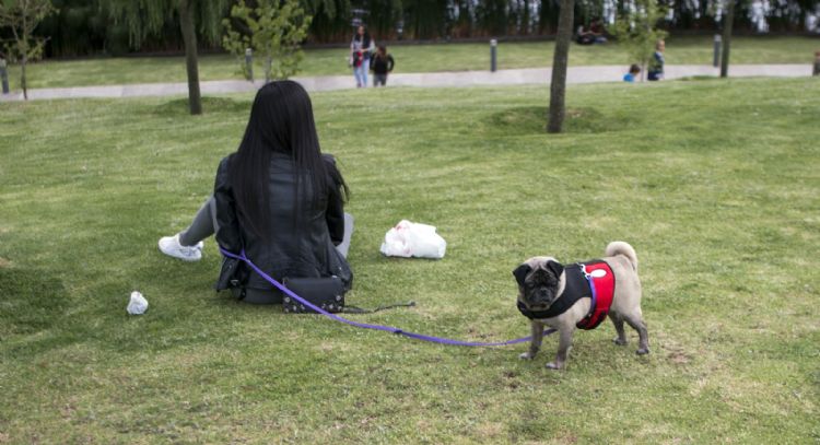 CDMX prohíbe negar renta o compra de inmuebles a personas con menores de edad o mascotas