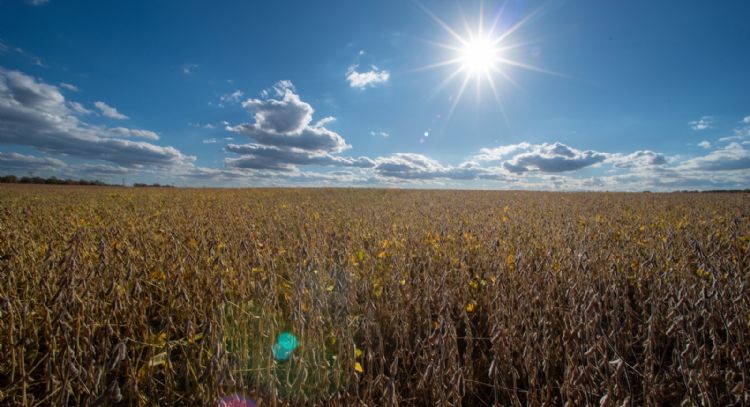 Senado de EU aprueba resolución para revertir aranceles de Trump en todo el mundo