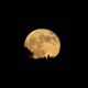 La primera superluna del año se acerca: lo que hay que saber