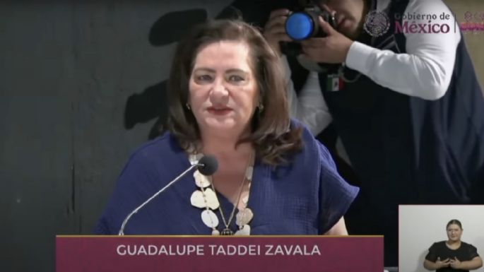 Taddei defiende a los OPLE, en riesgo por la reforma electoral
