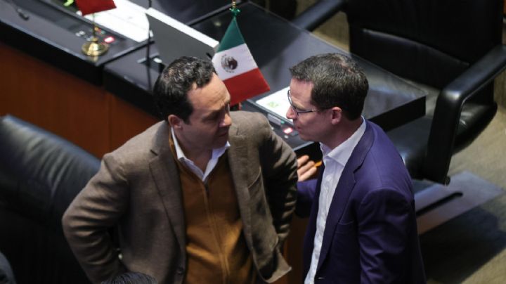 Ley Aduanera responsabiliza a agentes aduaneros y no a la autoridad: Movimiento Ciudadano