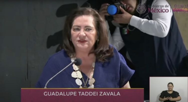 Taddei defiende a los OPLE, en riesgo por la reforma electoral