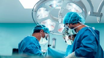 Un paciente sobrevive 171 días tras el primer xenotrasplante de hígado de cerdo modificado genética