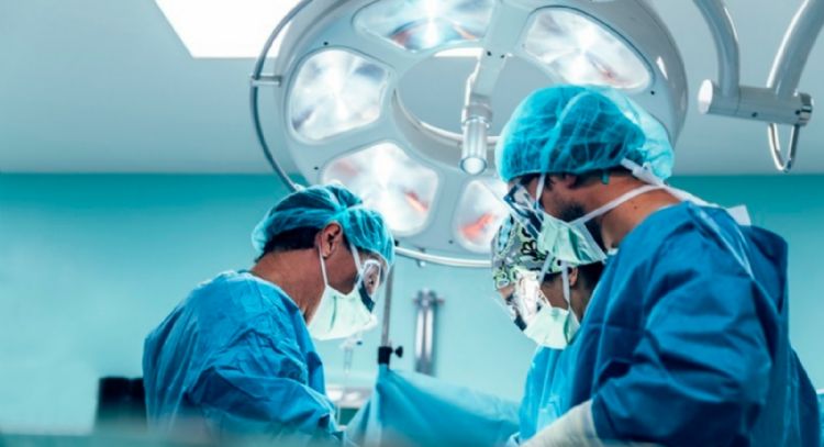 Paciente sobrevive 171 días tras primer xenotrasplante de hígado de cerdo modificado genéticamente