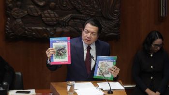 “Los niños que no nacen no van a la escuela”: Mario Delgado durante su comparecencia en el Senado