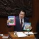 “Los niños que no nacen no van a la escuela”: Mario Delgado durante su comparecencia en el Senado
