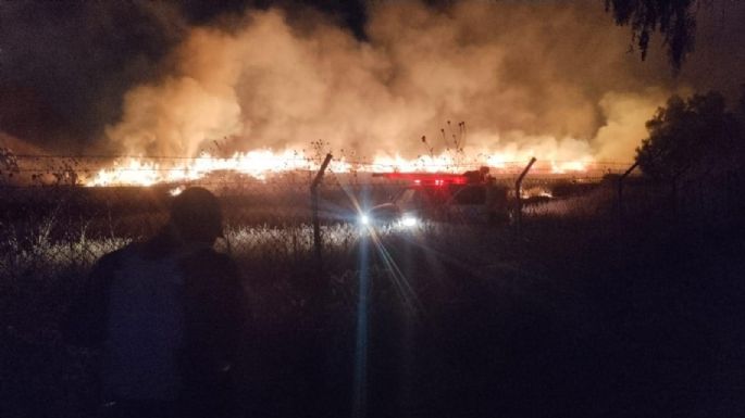 El INAH descarta daños a estructuras arqueológicas por incendio en Teotihuacán (Video)