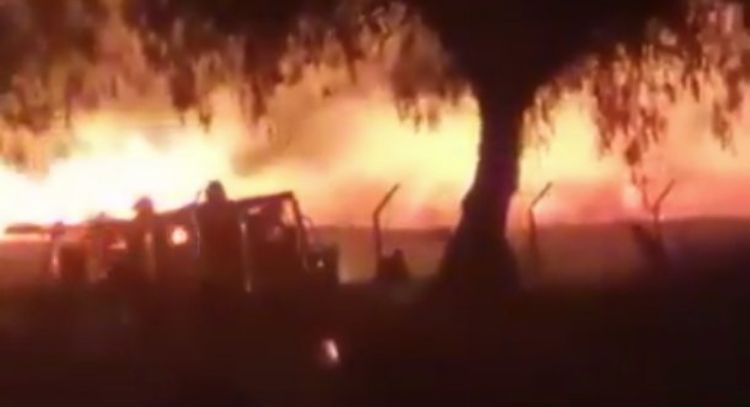 Incendio en zona arqueológica de Teotihuacán: esto es lo que se sabe