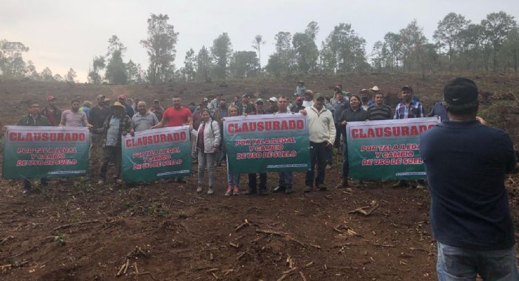 Ahora el narco sentencia a muerte a estos ambientalistas de Michoacán