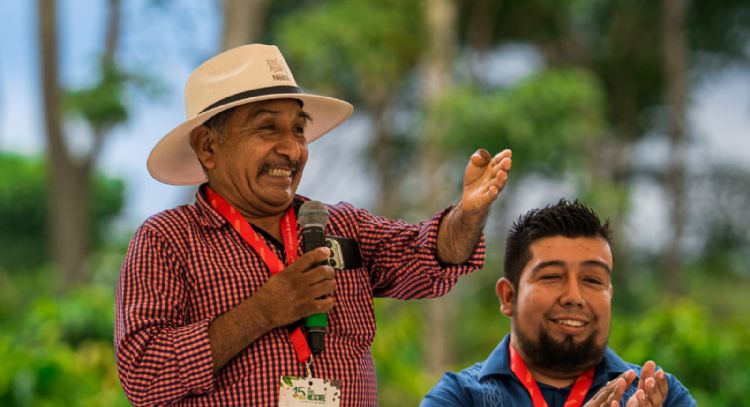 Nestlé impulsa la caficultura mexicana: 15 años del Plan NESCAFÉ y su impacto en miles de productore