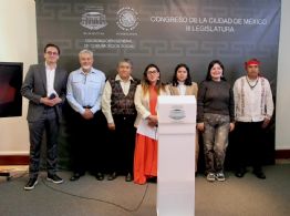 Exigen intervención de diputados en el caso del Museo Dolores Olmedo