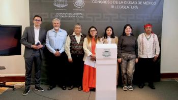 Exigen intervención de diputados en el caso del Museo Dolores Olmedo