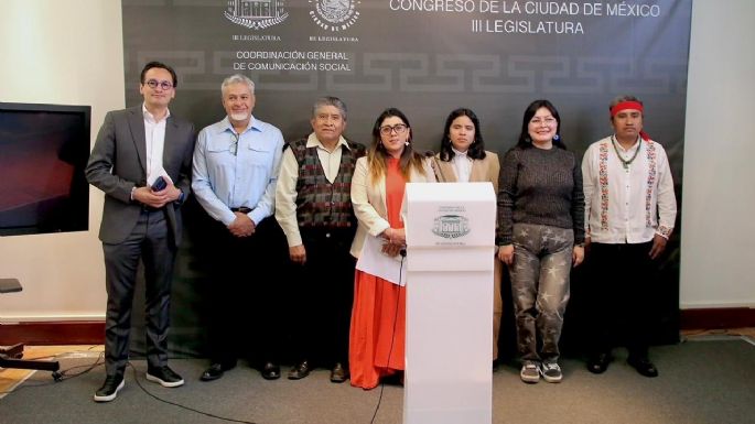 Exigen intervención de diputados en el caso del Museo Dolores Olmedo