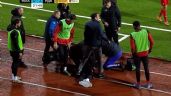 Foto ilustrativa de la nota titulada: Entrenador de un club serbio muere de un infarto durante un partido de primera división (Video)