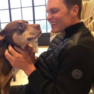 Tom Brady revela que clonó a su perrita Lua, que murió en 2023