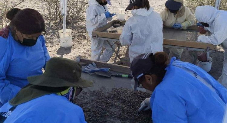 Hallan restos humanos en otra fosa clandestina de Patrocinio, "zona de exterminio" de los Zetas