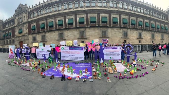 Red Nacional de Refugios demanda asignación de 510 millones de pesos del PEF para 2026