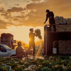 La fotografía como puente: Iván Macías convierte su mirada neurodivergente en arte premiado
