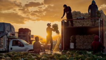 La fotografía como puente: Iván Macías convierte su mirada neurodivergente en arte premiado