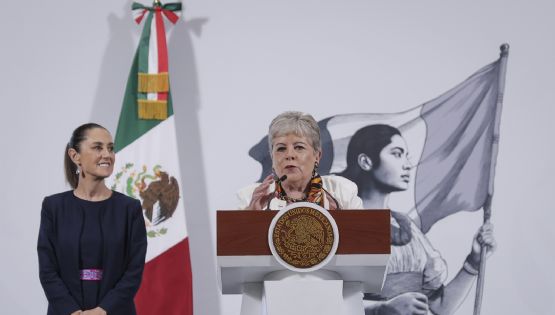 ONG solicitan amparos contra Presidencia, Semarnat y ASEA para detener megaproyectos de gas