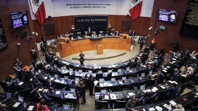 Pagan escuela a senadores con dinero público; redacción y masculinidades son algunas de las clases