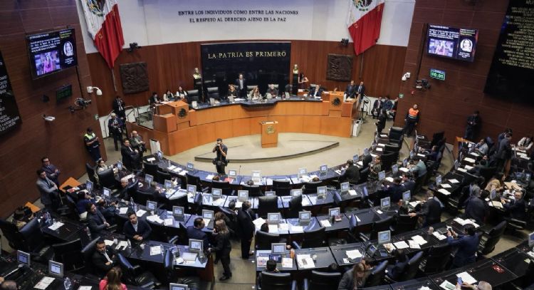 Pagan escuela a senadores con dinero público; redacción y masculinidades son algunas de las clases