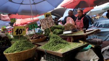 Romeritos en la CDMX: Ésta es la realidad amarga tras el sabroso platillo de Navidad