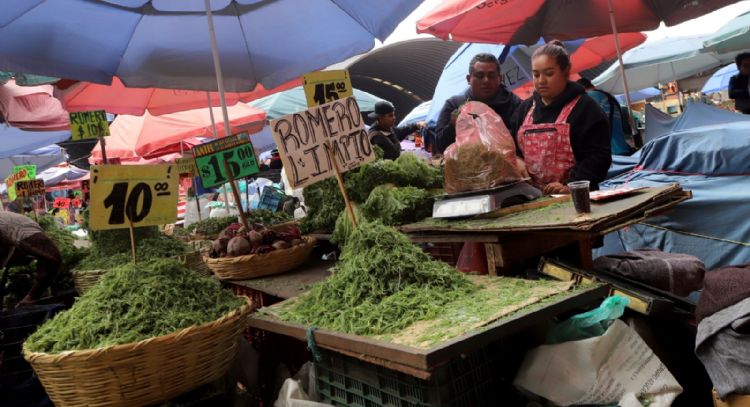 Romeritos en la CDMX: Ésta es la realidad amarga tras el sabroso platillo de Navidad