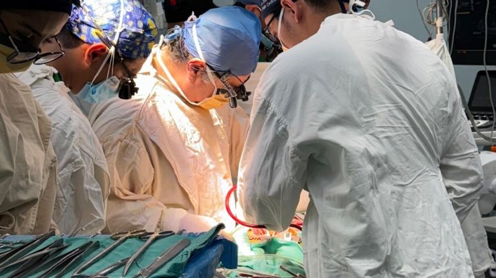 Los retos para la donación de órganos en México: 18 mil 912 personas esperan un trasplante