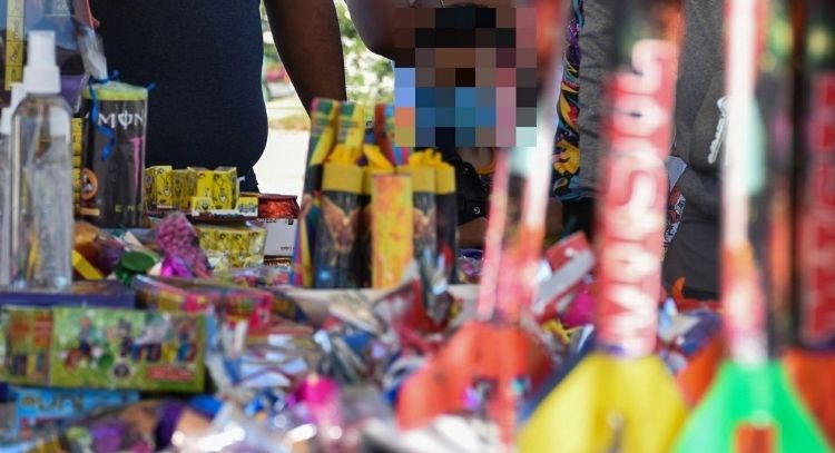 SSC pide evitar uso de pirotecnia durante fiestas de Año Nuevo para cuidado de animales de compañía